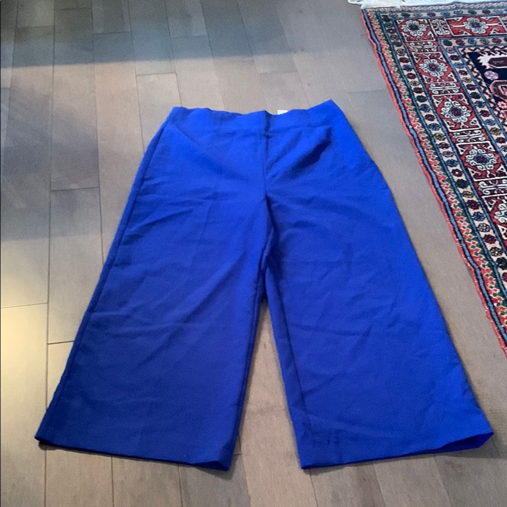 Zara Cobalt Blue Wide Leg Pants